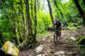 Mann fährt mit einem Fahrrad in dem Wald über mehrere Wurzeln